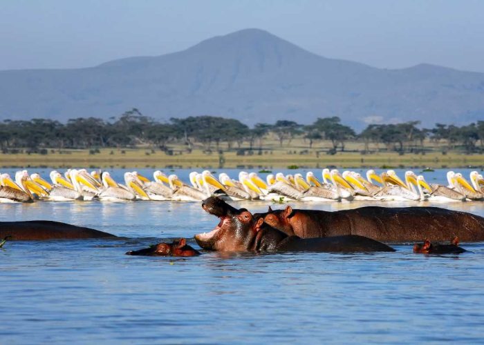 lake naivasha deals