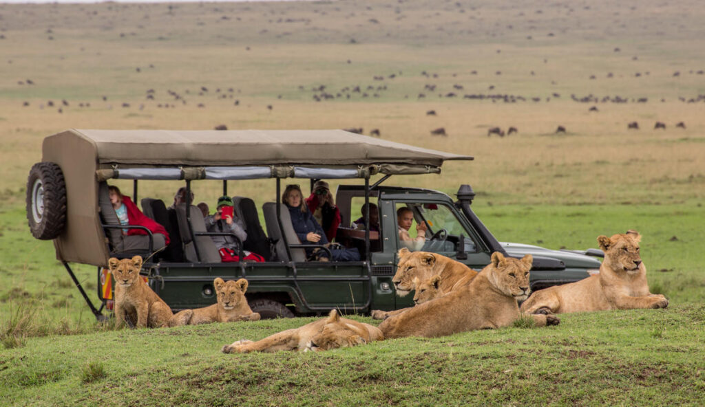 Sentinel Mara Camp