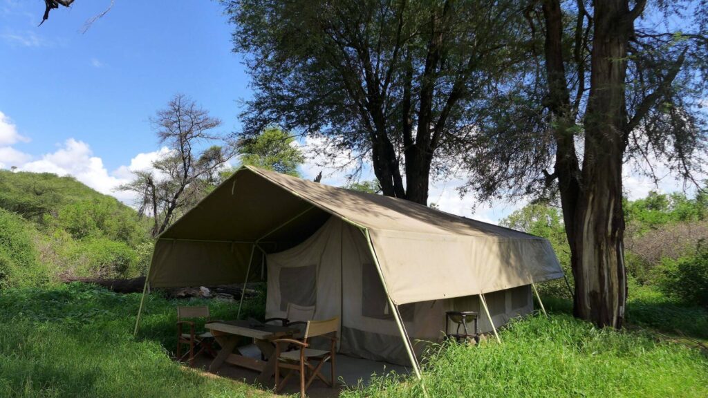 Lions King Bush Camp accommodation options