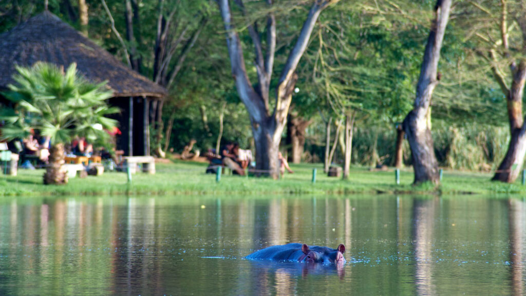 Voyager Ziwani Tented Camp