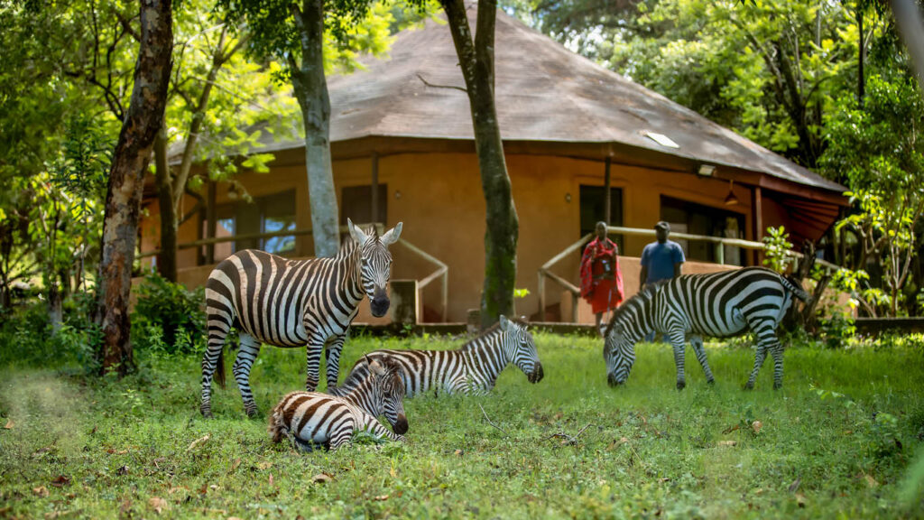 Mara Sopa Lodge wildlife