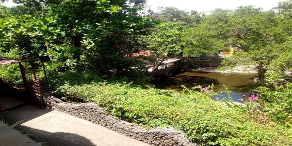 Mamba Village Mombasa