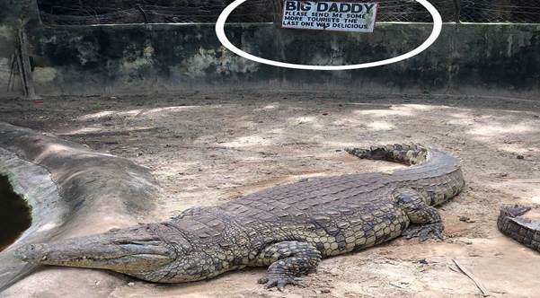 Mamba Village Mombasa