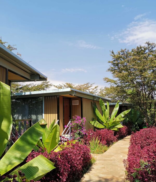 202007032255388b1668