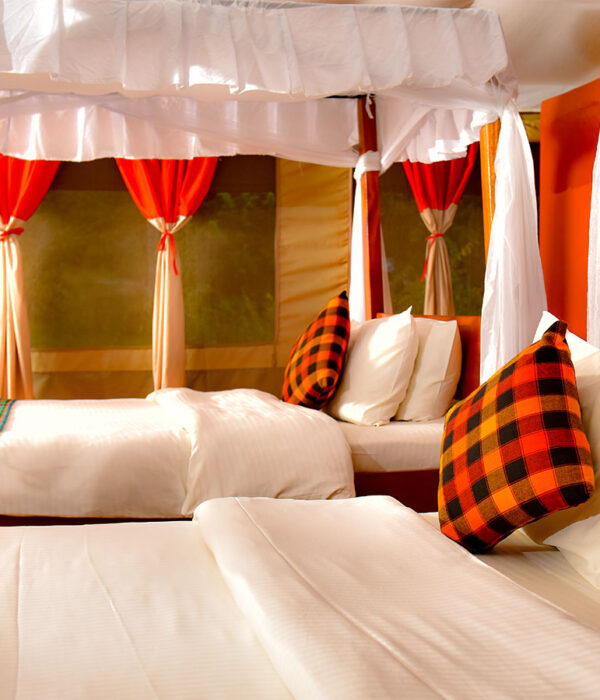 Enkorok-mara-camp-overview-room
