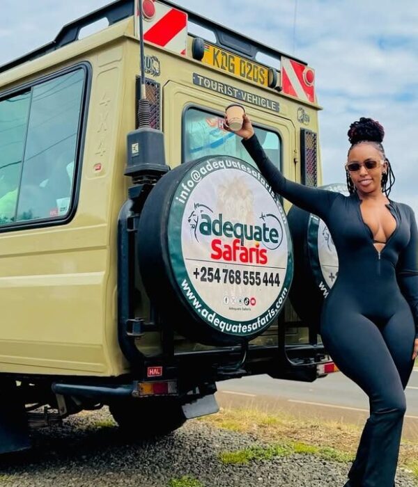 WhatsApp Image 2026-02-13 at 09.31.15