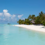 Adventurous scuba diving experience in exotic island waters – Adequate Safaris