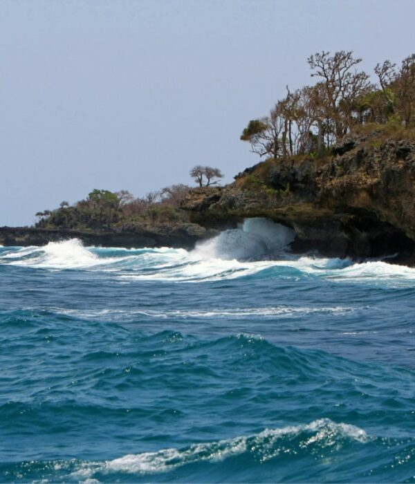 Wasini island