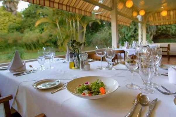 Beautiful garden setting at The Lord Erroll Kiambu Kenya – Adequate Safaris
