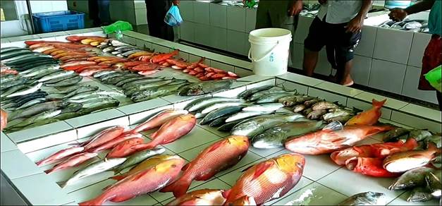 Grilled lobster and seafood served with ocean views in Maldives – Adequate Safaris