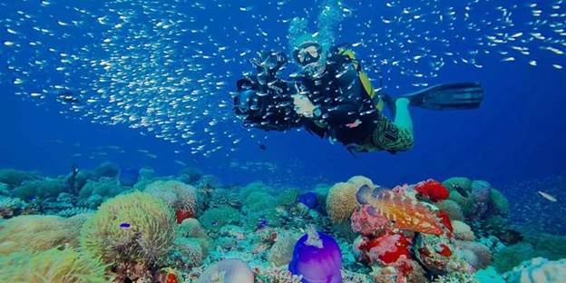 Scuba diving experience exploring vibrant coral reefs in crystal clear ocean waters – Adequate Safaris